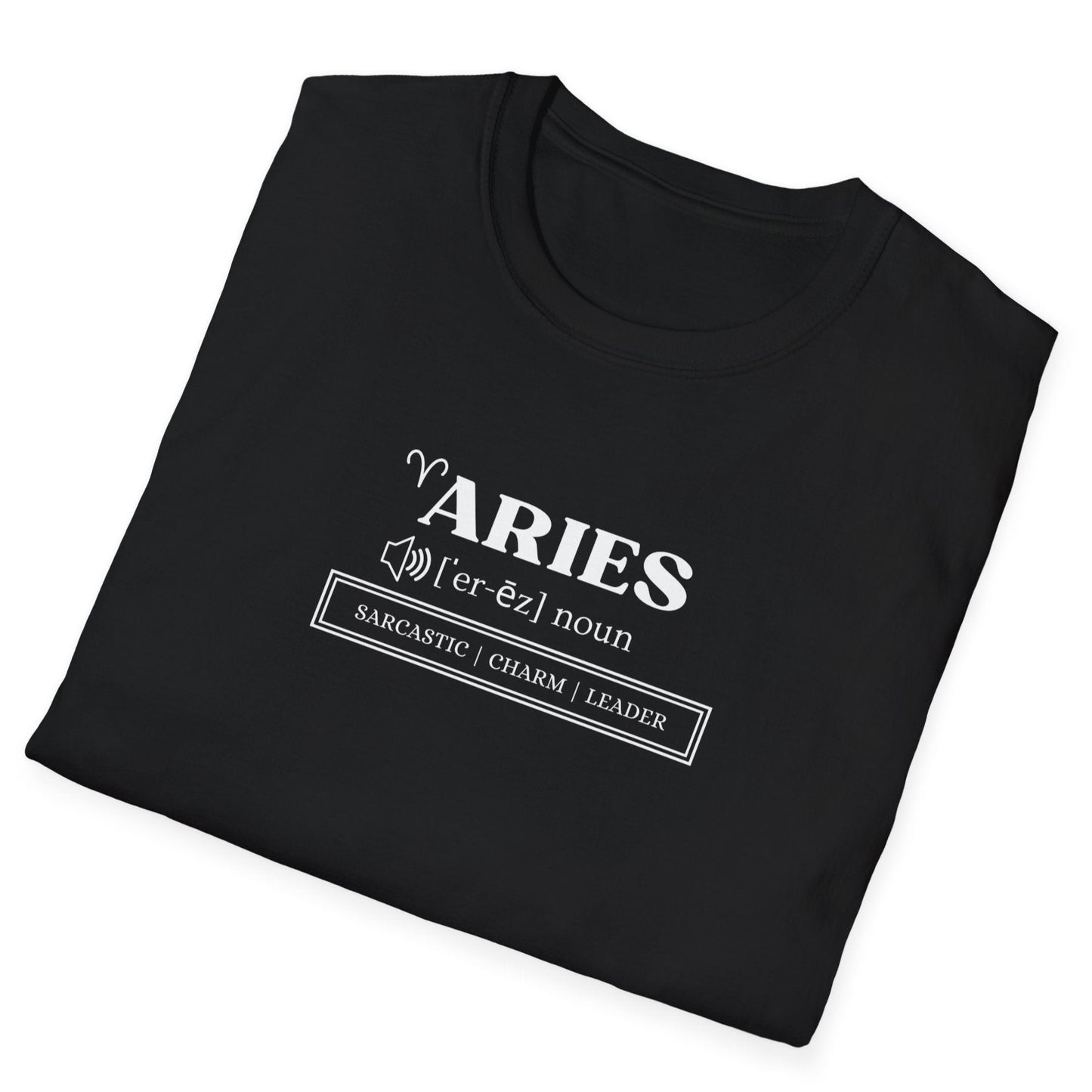 Aries Definition T-Shirt